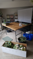 Bild 001