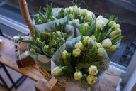 Bild 027