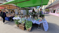 Foto Markt 01
