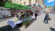 Foto Markt 02