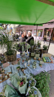 Foto Markt 03