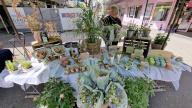 Foto Markt 04