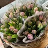 Tulpenstrauss