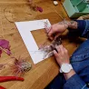 Workshops