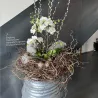 Blumenabo
